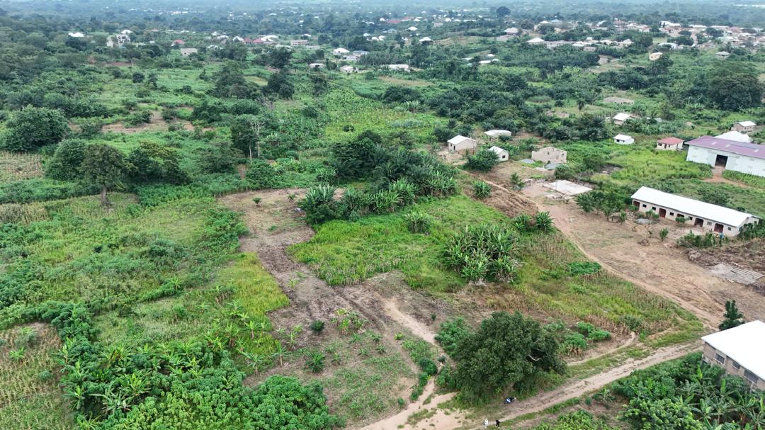 Deme land image 2