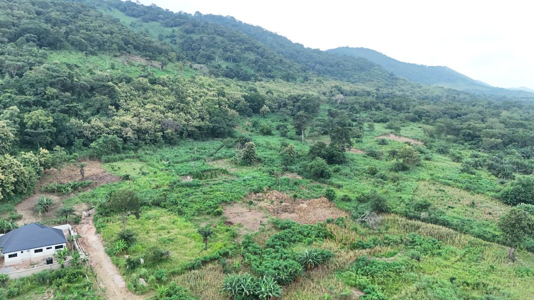 Deme land image 3