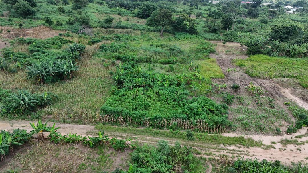 Deme land image 4
