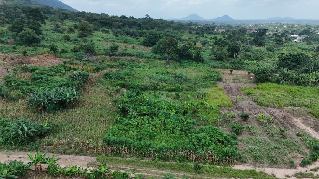 Deme land image 5